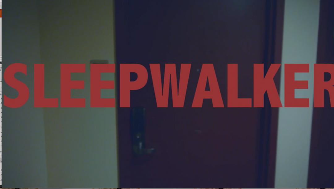 Poster for SLEEPWALKER