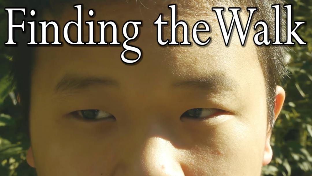 Poster for Finding the Walk