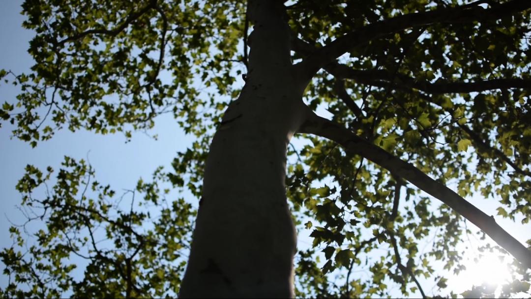 Poster for Cinematography Reel