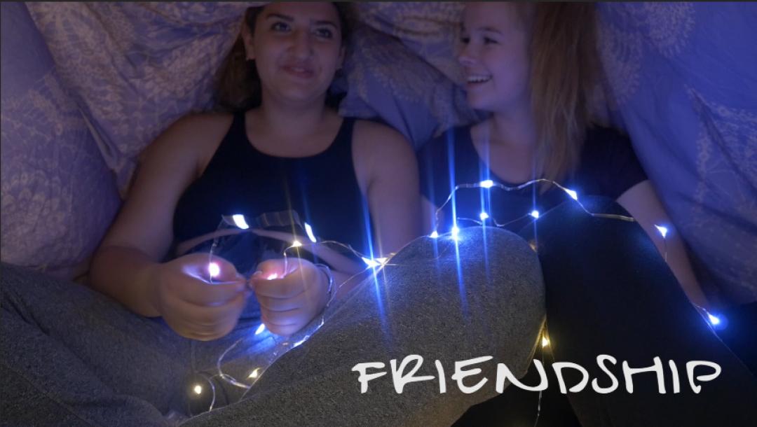 Poster for Friendship