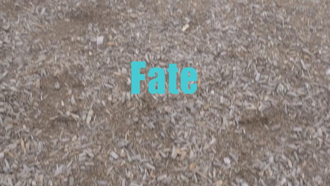 Poster for Fate