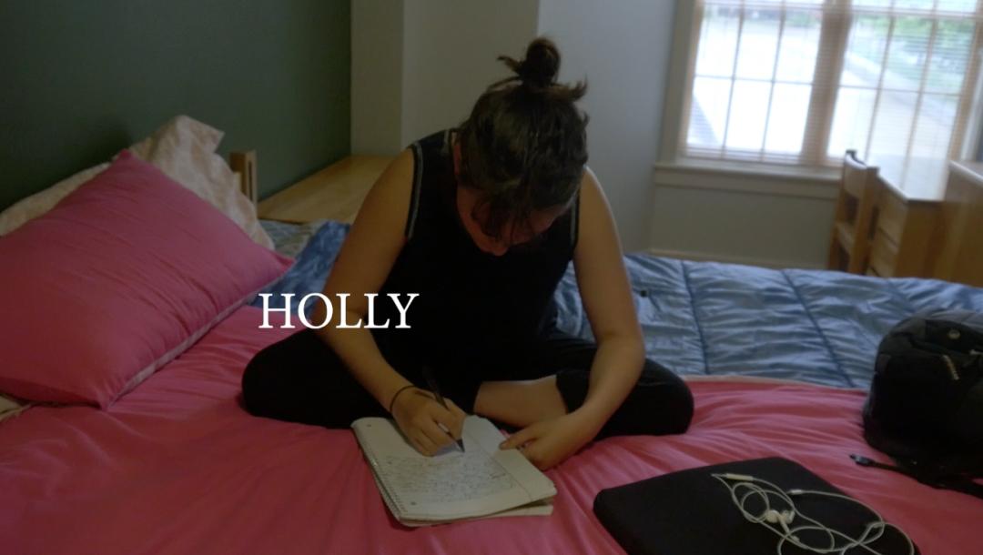 Poster for Holly