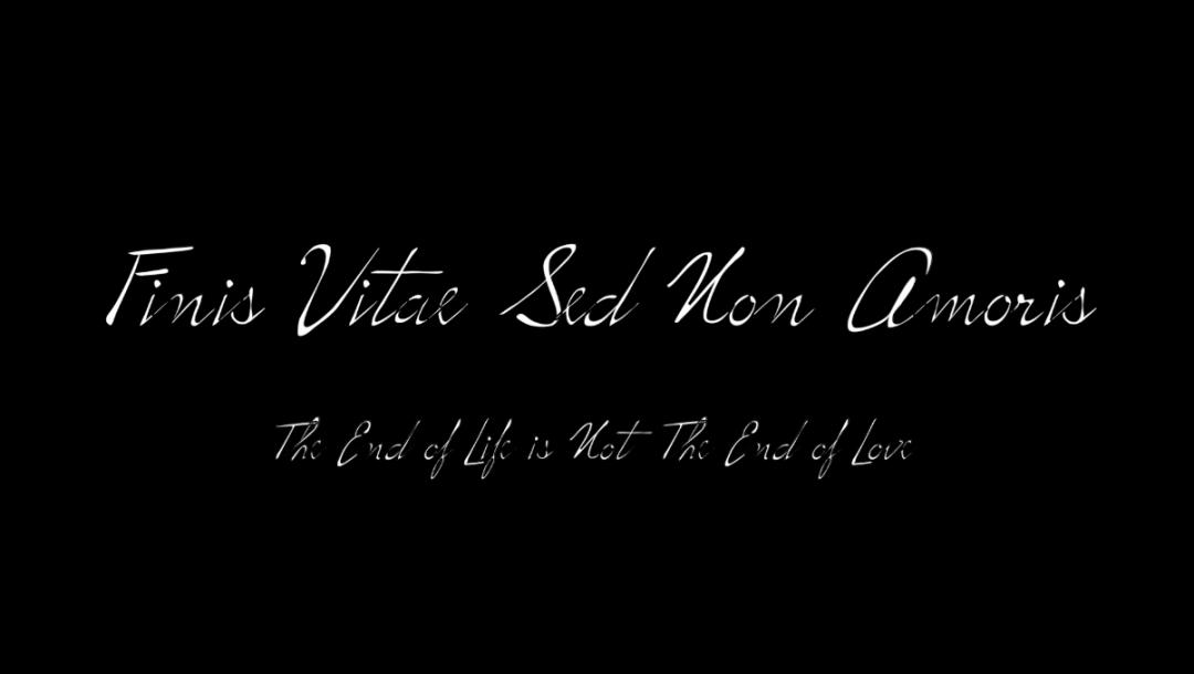 Poster for Finis Vitae Sed Non Amoris