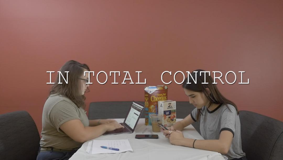 Poster for In Total Control