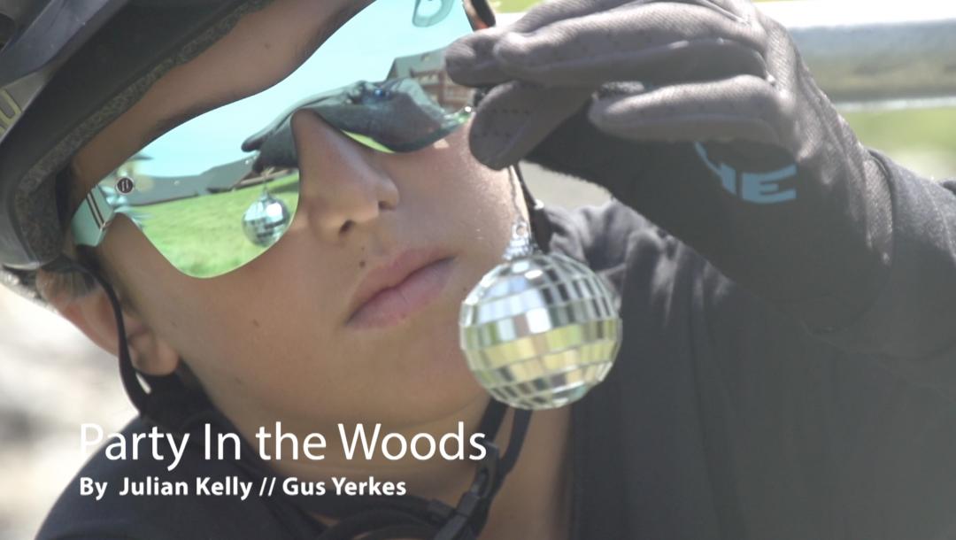 Poster for Party in the Woods