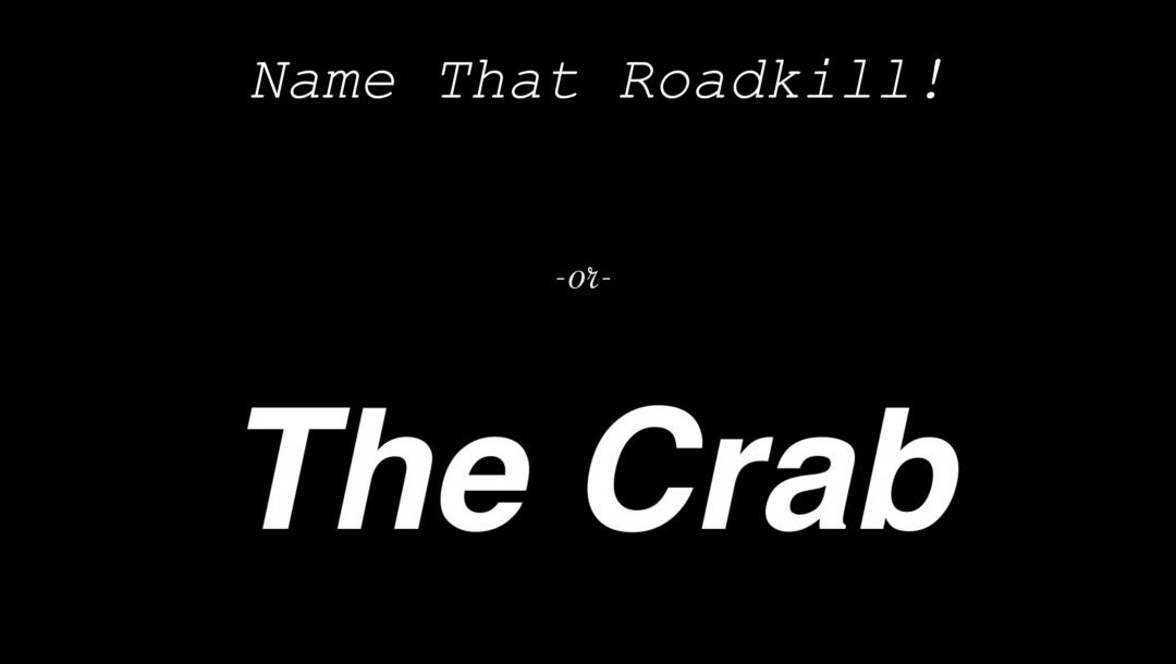 Poster for Name That Roadkill!!!