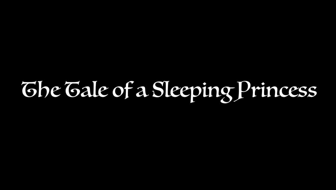 Poster for The Tale of a Sleeping Princess