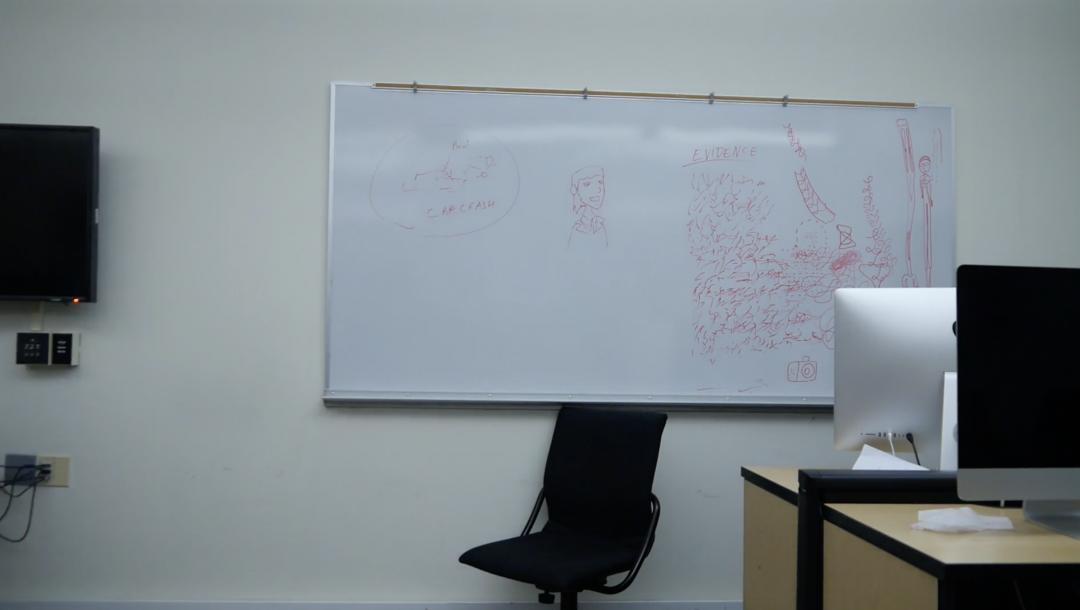 Poster for The Theorist