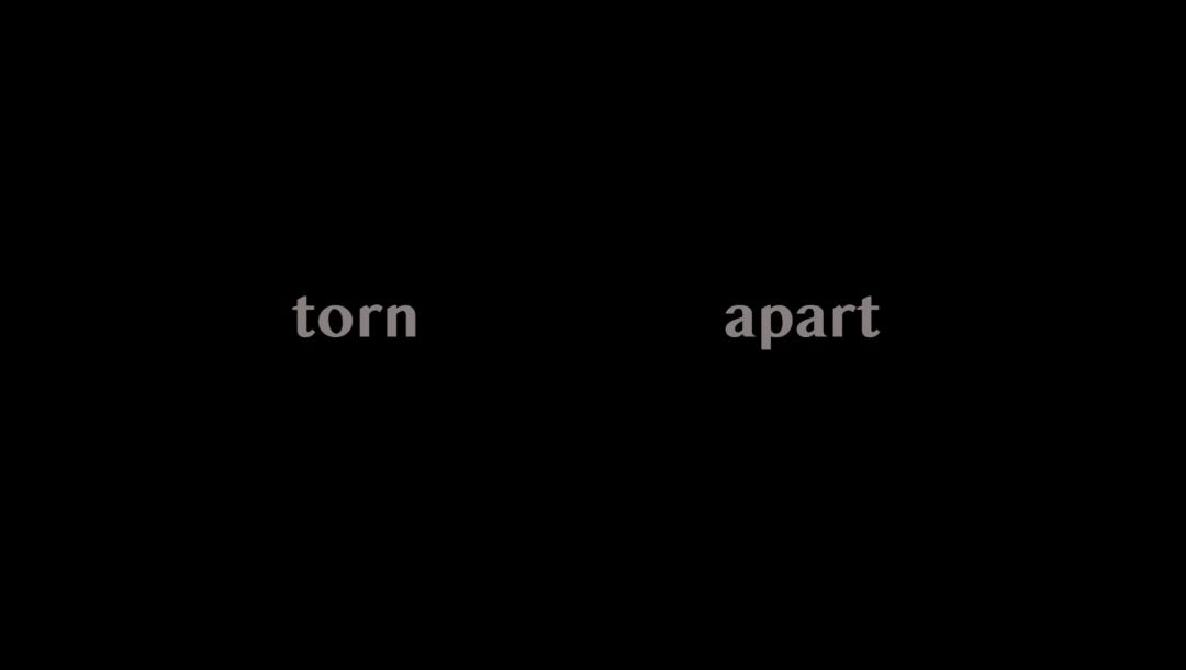 Poster for Torn Apart