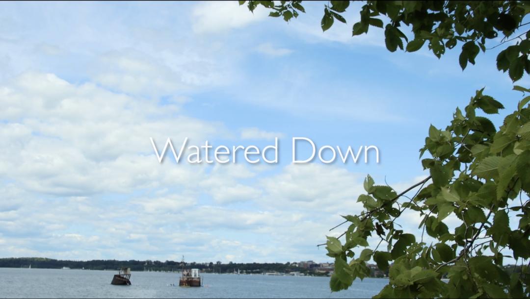 Poster for Watered Down