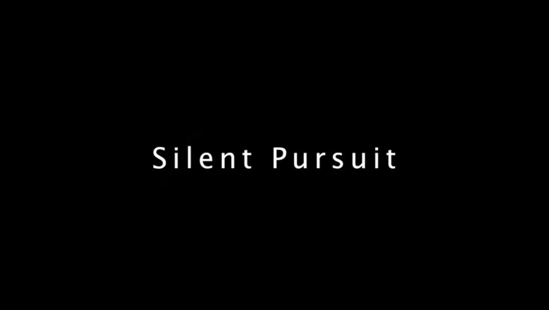 Poster for Silent Pursuit