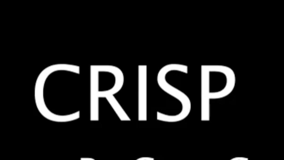 Poster for Crisp
