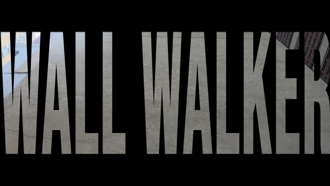 Poster for The Wall Walker