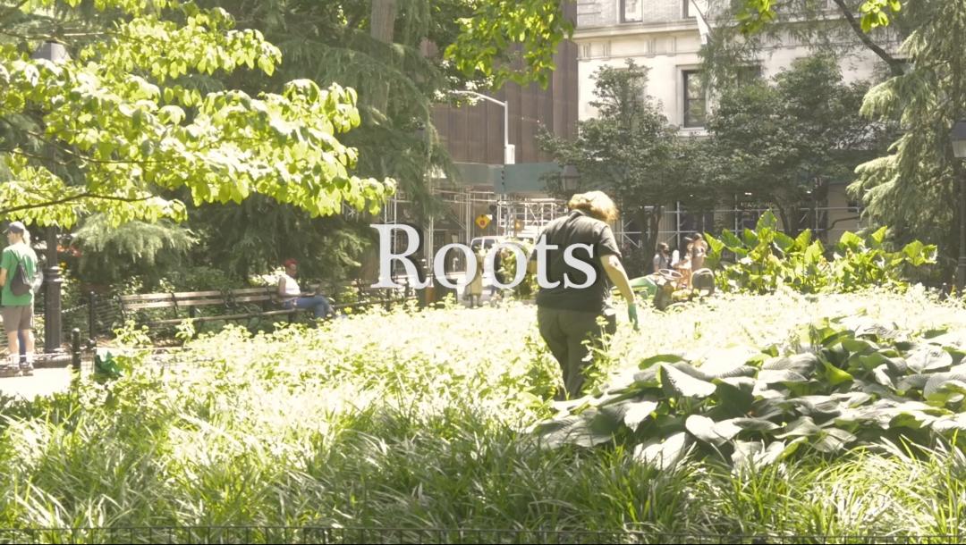 Poster for Roots