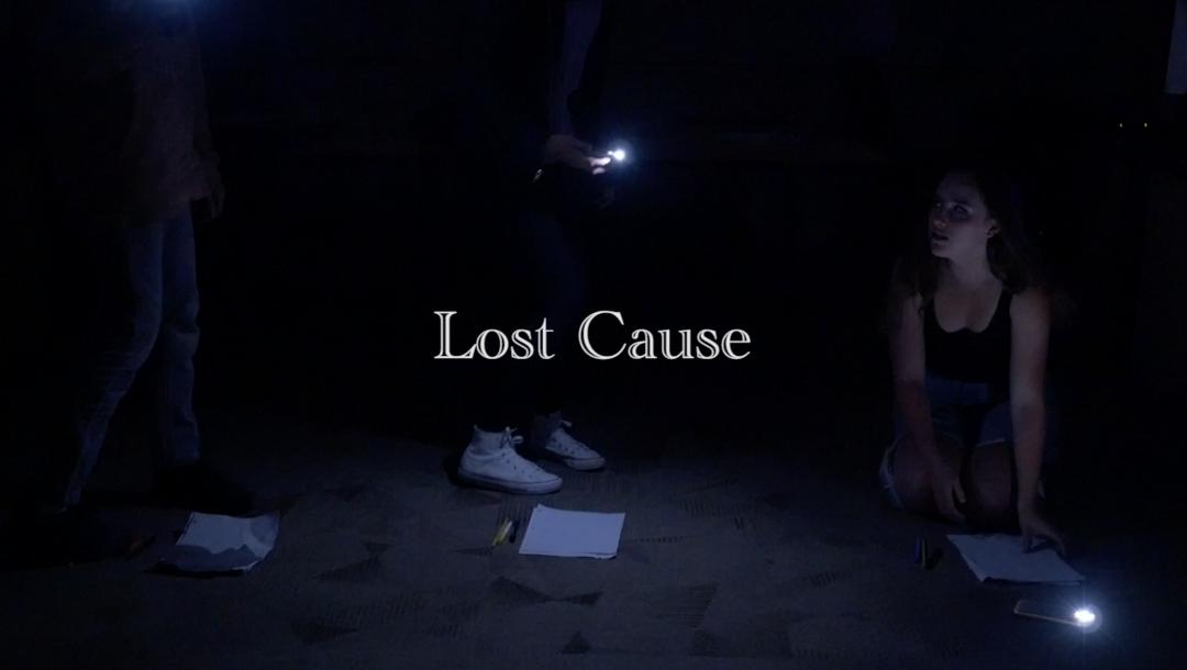 Poster for Lost Cause
