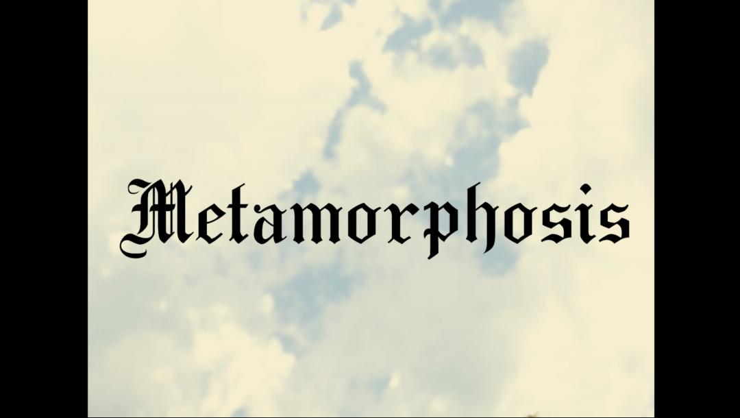 Poster for Metamorphosis 
