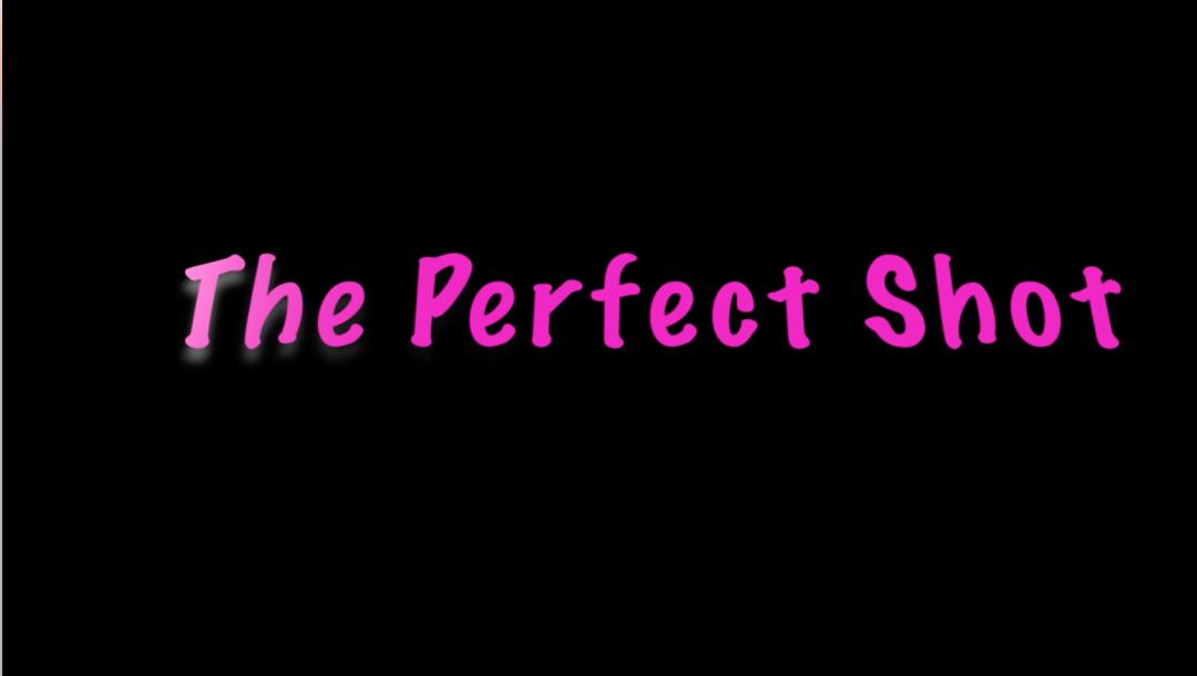 Poster for The Perfect Shot