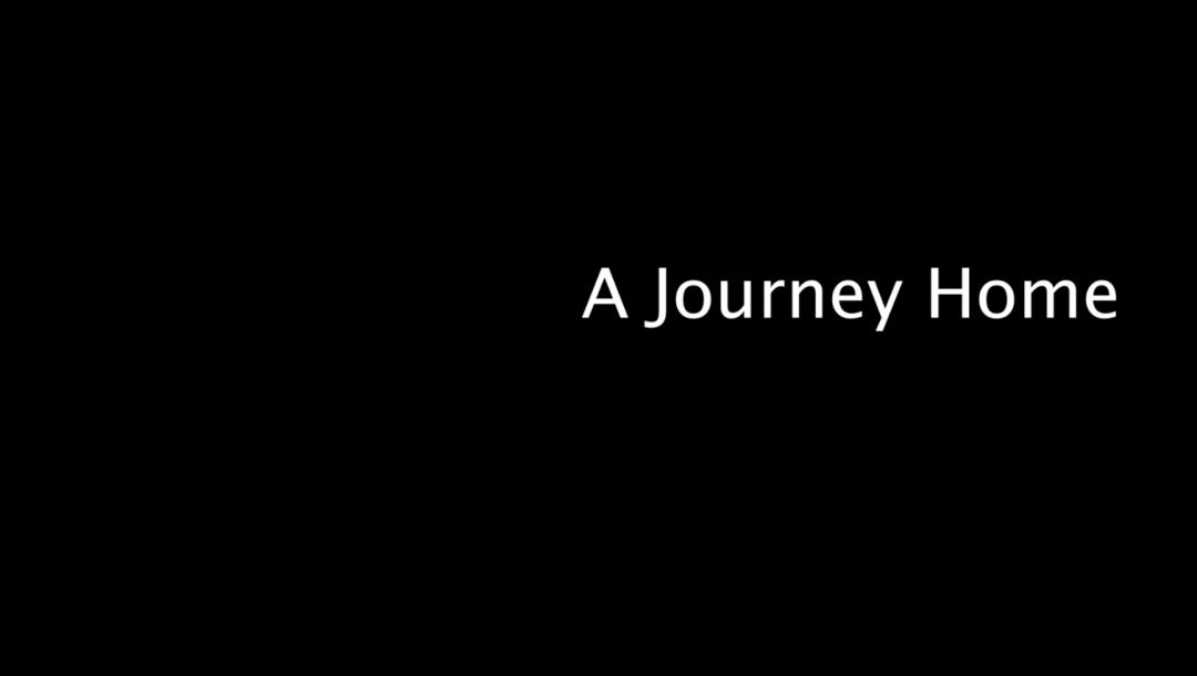 Poster for A Journey Home