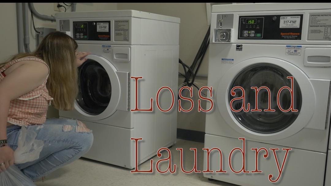 Poster for Loss And Laundry