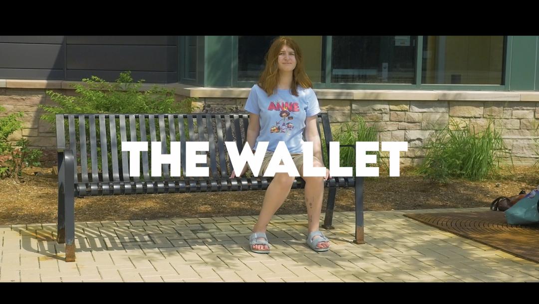 Poster for The Wallet