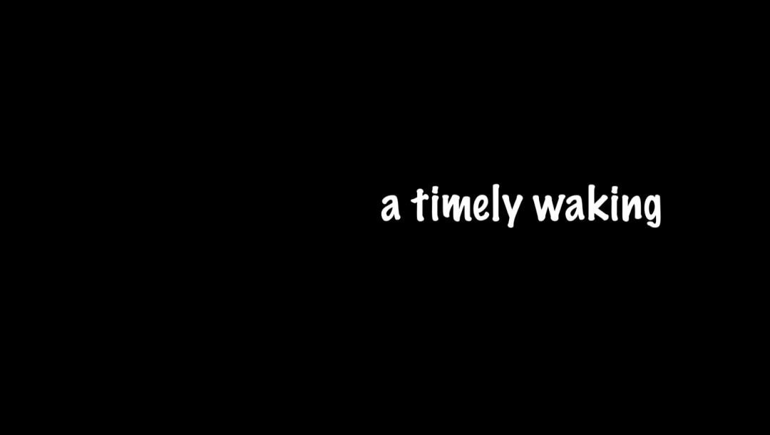 Poster for a timely waking