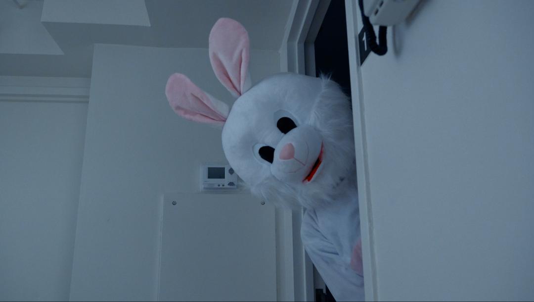 Poster for The Bunny