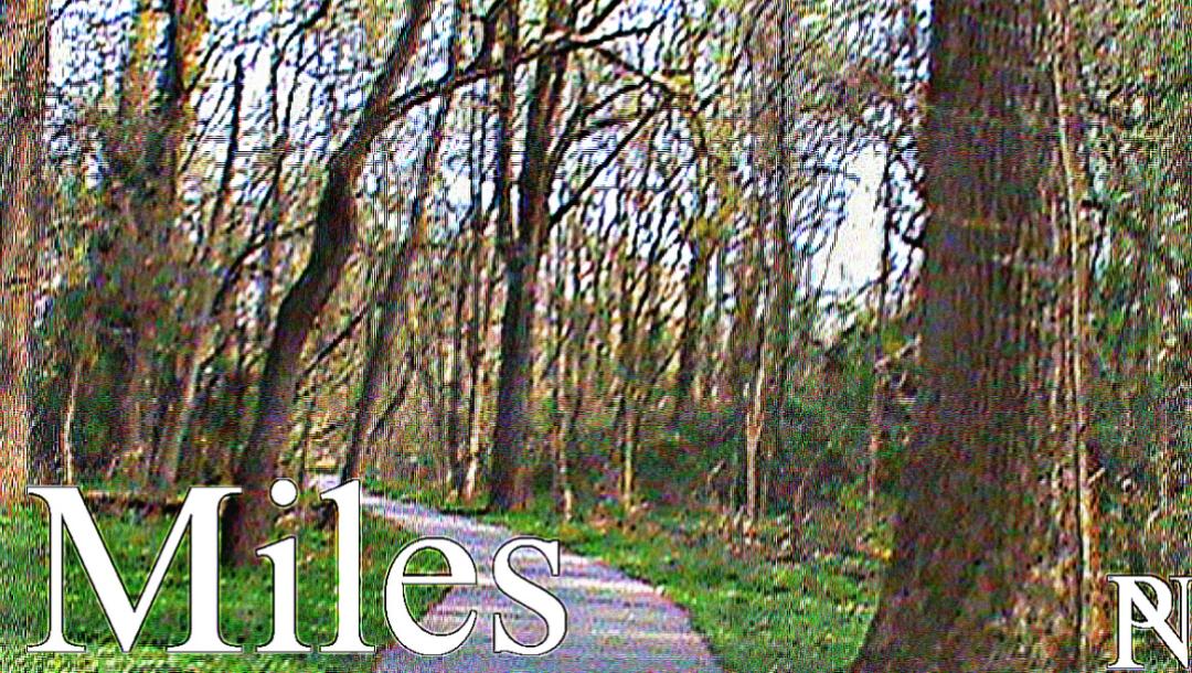Poster for Miles