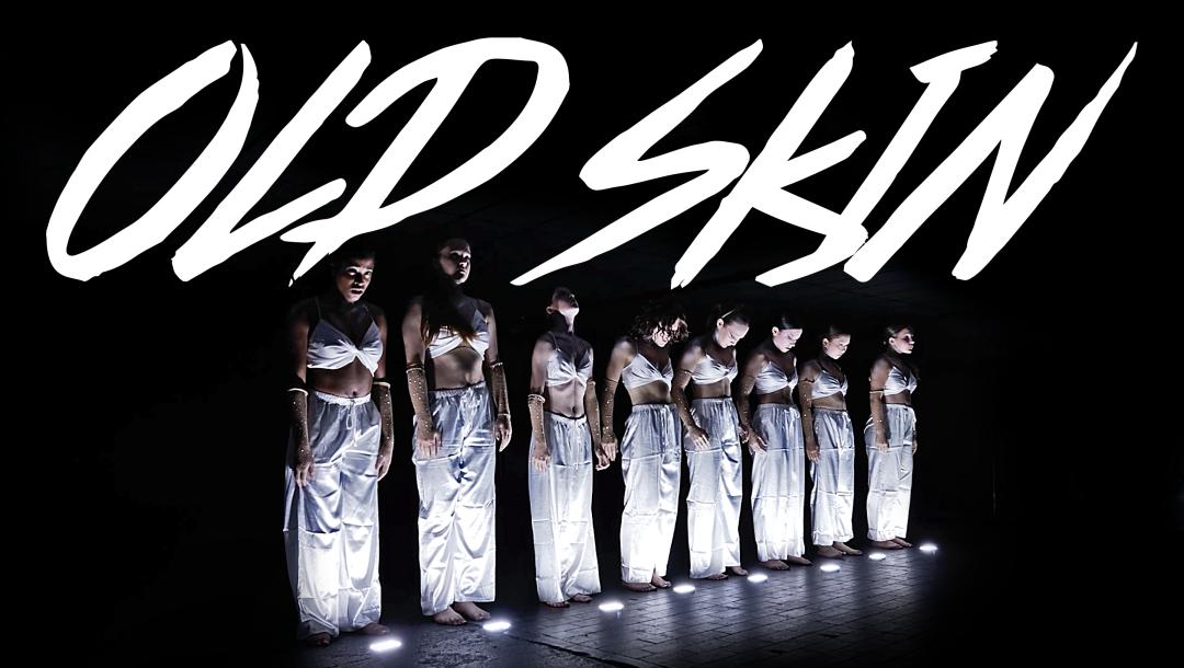 Poster for Old Skin