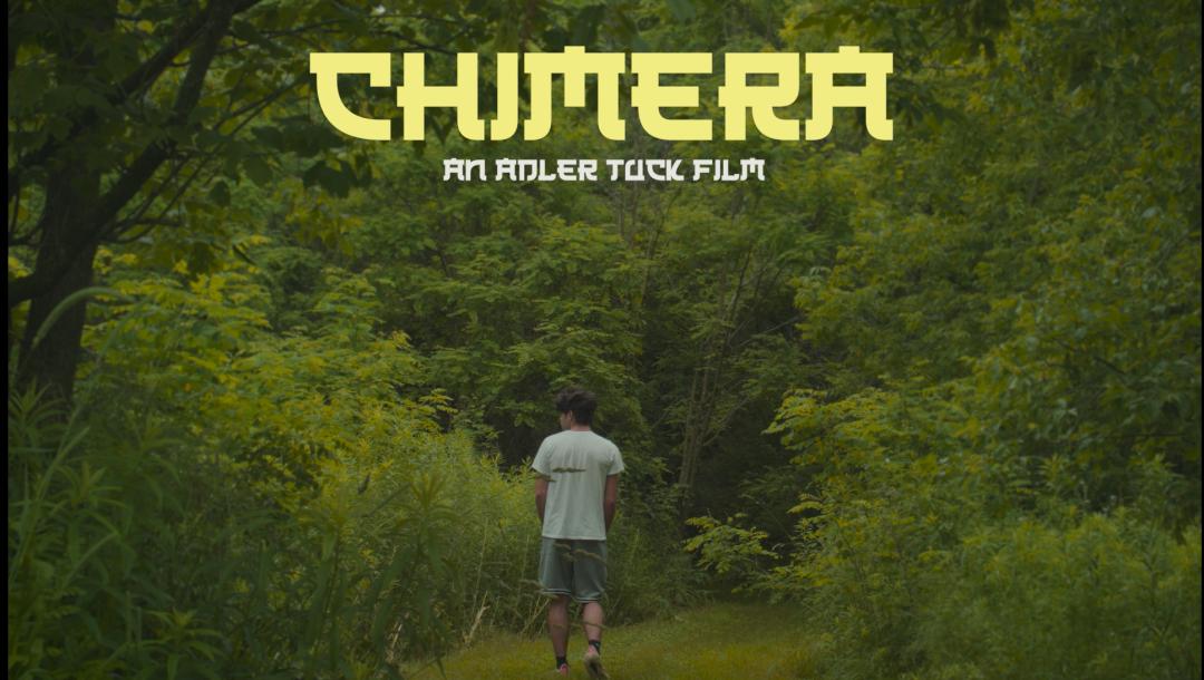 Poster for Chimera