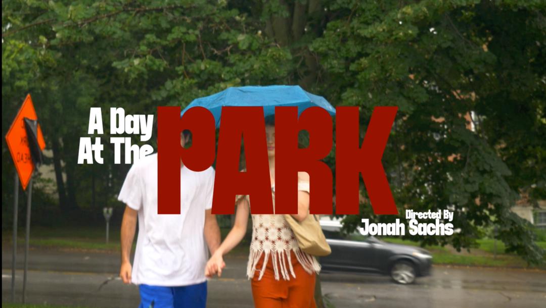 Poster for A Day At The Park