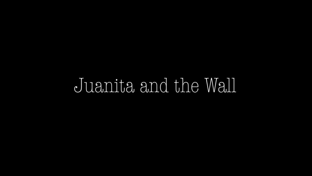 Poster for Juanita and the Wall
