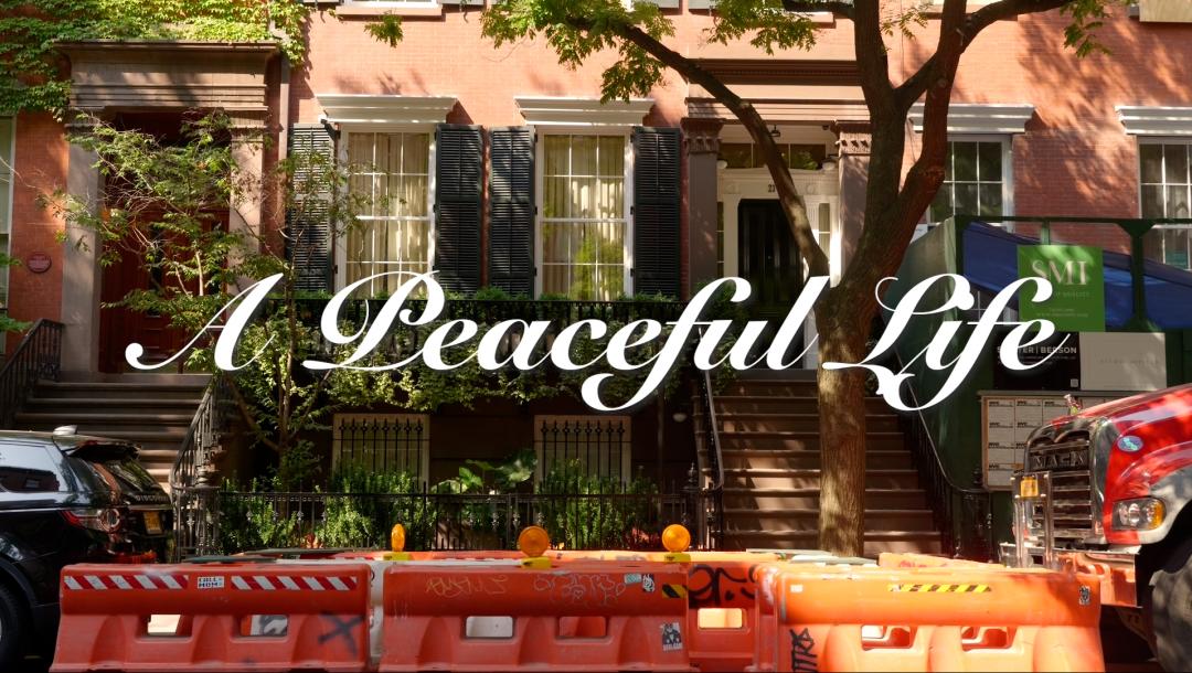 Poster for A Peaceful Life