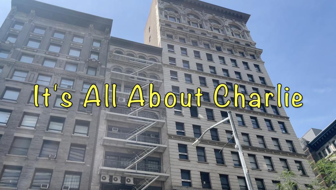 Poster for It's All About Charlie