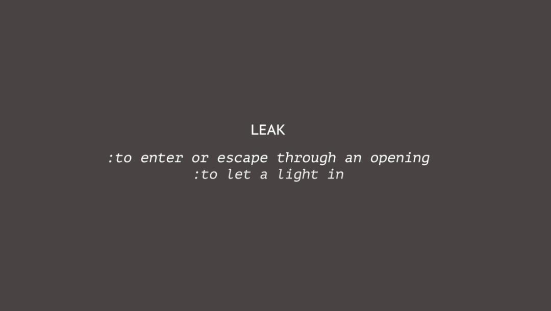 Poster for Leak