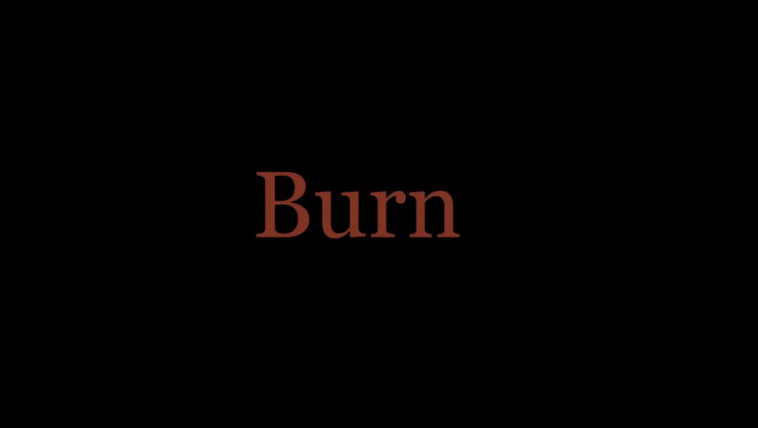 Poster for Burn