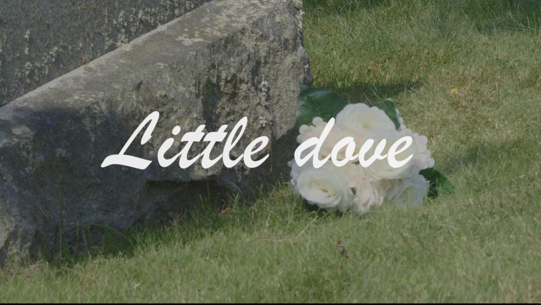Poster for Little Dove