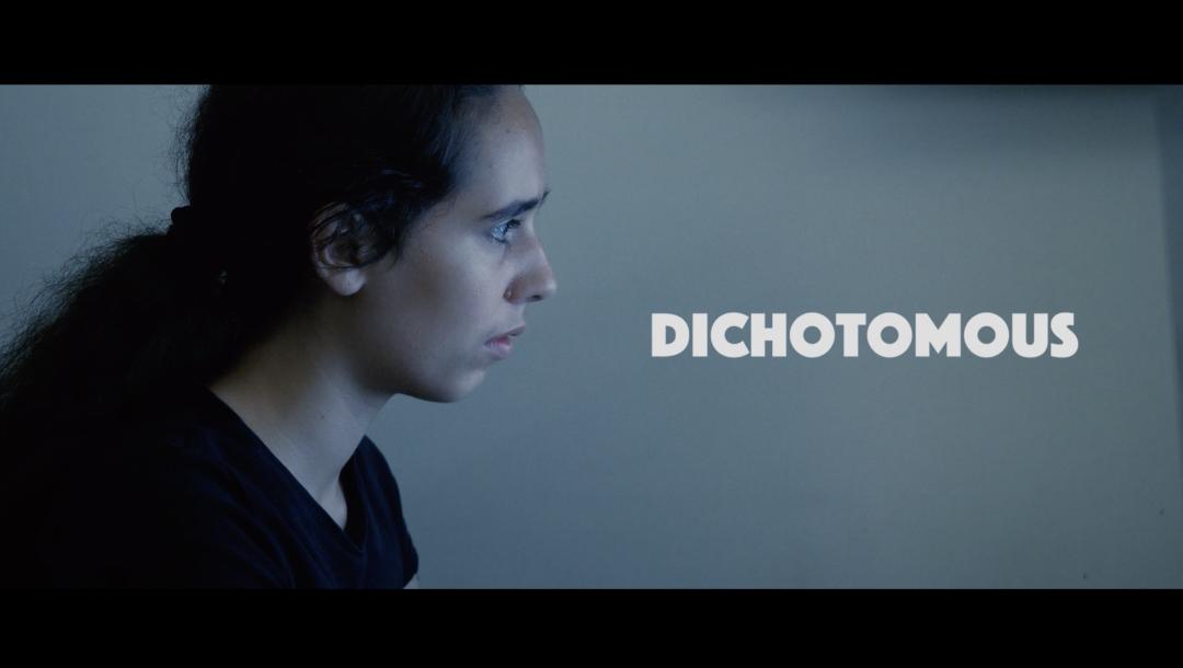 Poster for Dichotomous