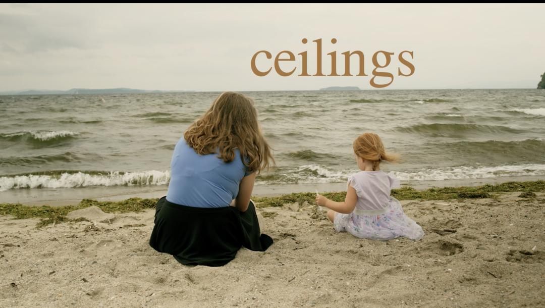 Poster for Ceilings