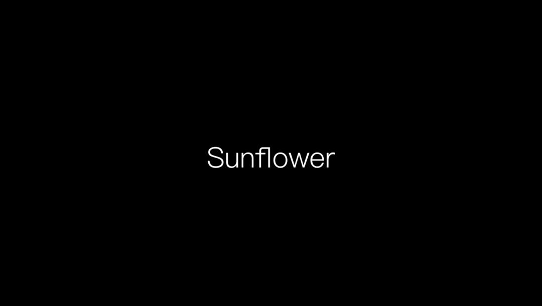 Poster for Sunflower