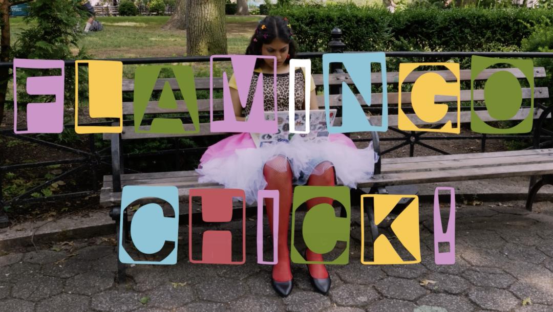 Poster for Flamingo Chick!