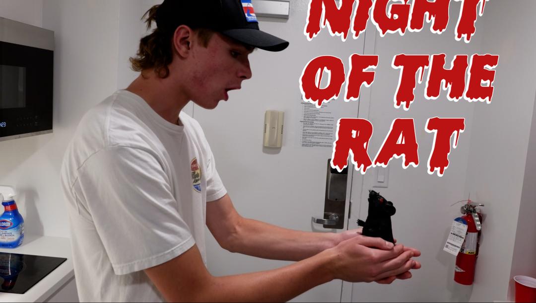 Poster for Night of the Rat 