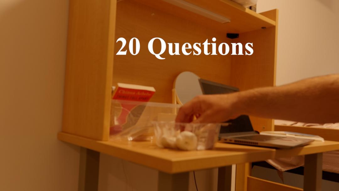 Poster for 20 Questions