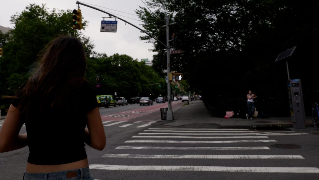 Poster for The Crosswalk