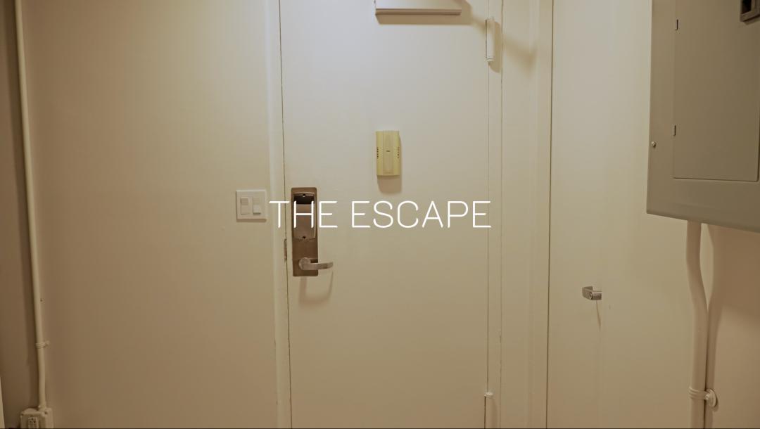 Poster for The Escape 