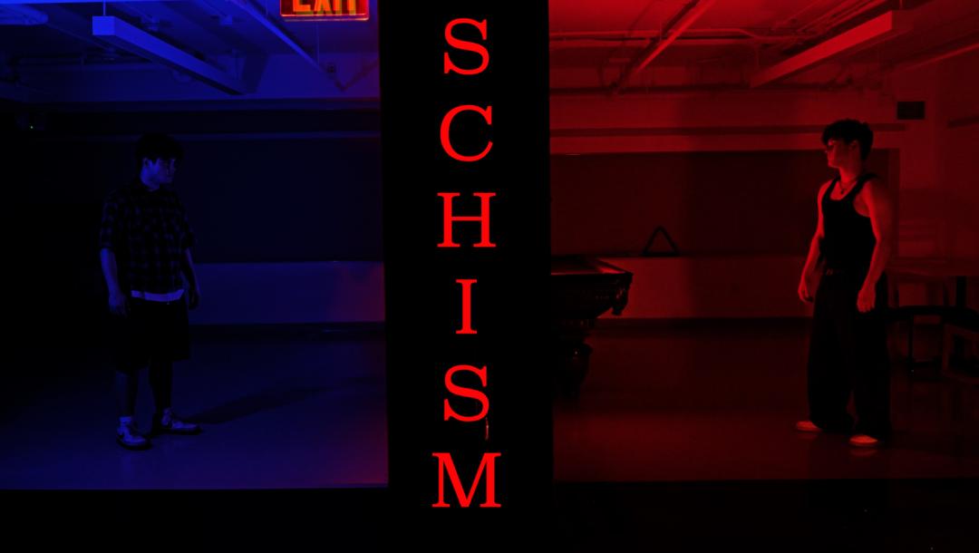 Poster for Schism