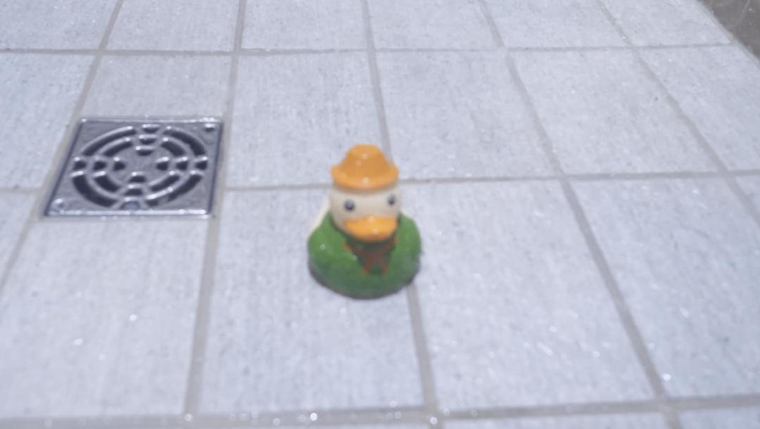 Poster for Where the Duck