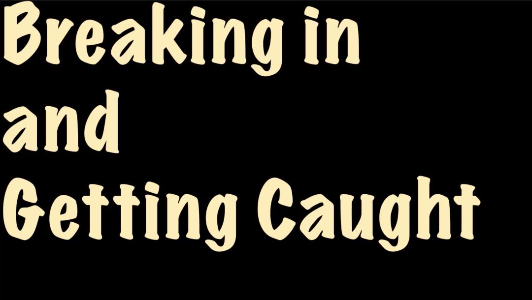 Poster for Breaking in and Getting Caught