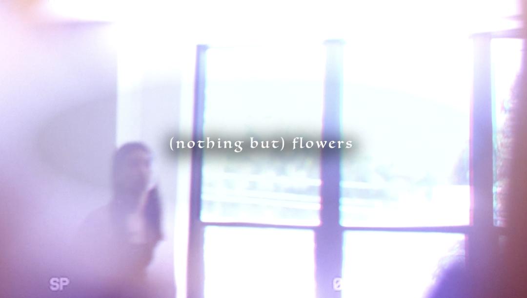 Poster for Nothing But Flowers