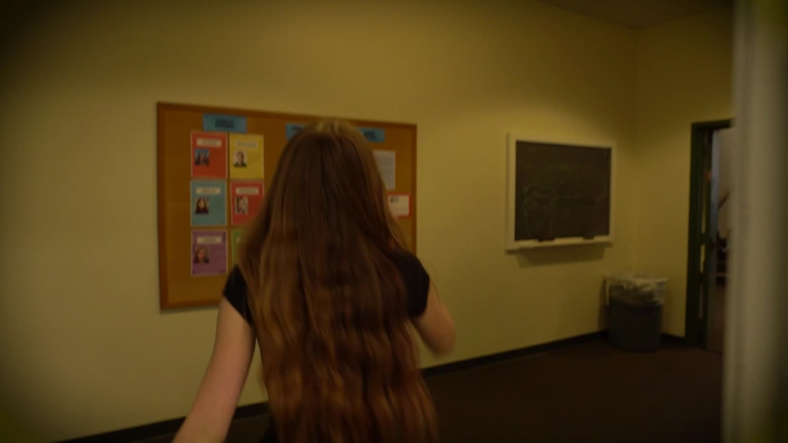 Poster for The Bathrooms