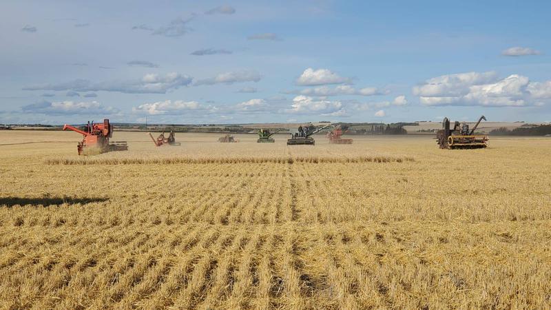Special Harvest Near Bear Lake Completed PaNOW